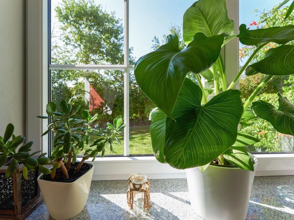 Nice Flat With Sauna Covered Terrace Garden And Tree House For Children Zandt Exterior photo